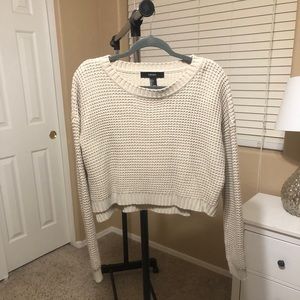 F21 Neutral Cropped Sweater